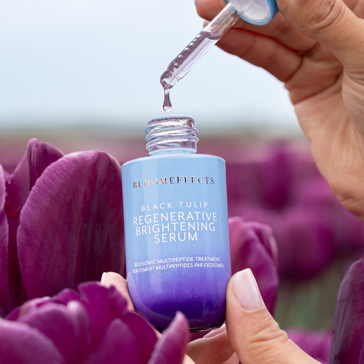 Blue and purple serum bottle with dropper held over purple tulips. BLOOMEFFECTS Black Tulip Regenerative Brightening Serum
