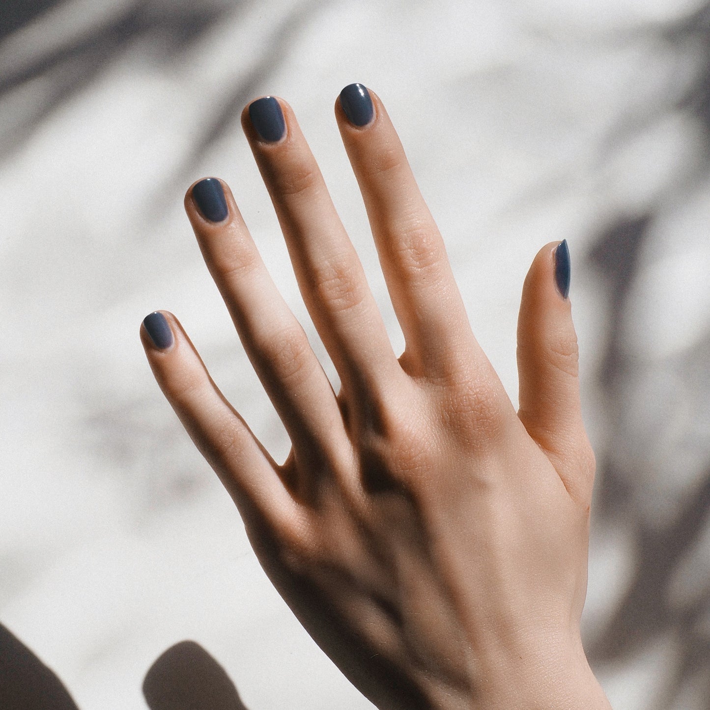 KAROLIN VAN LOON 06 Bleue Cendre