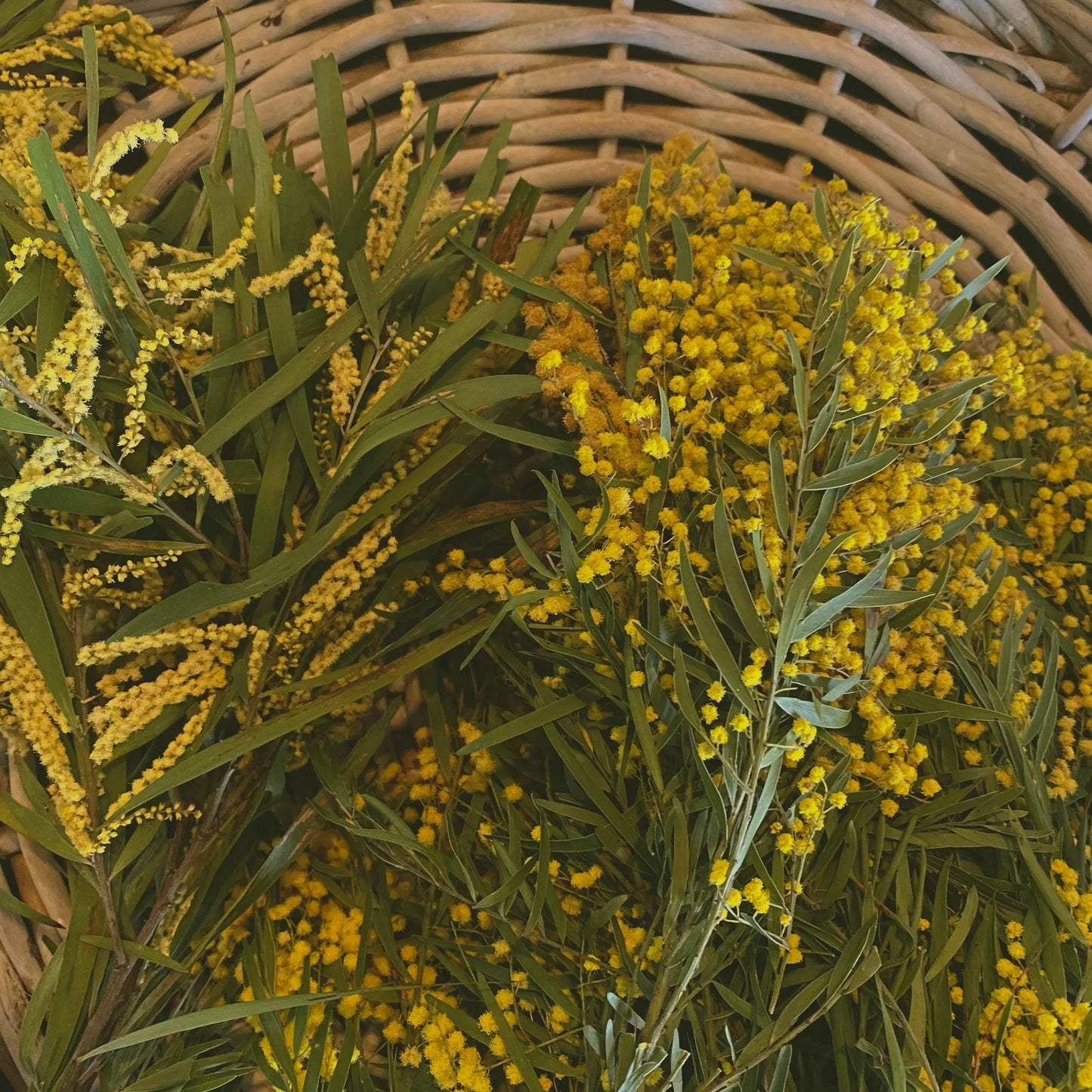 LEPAAR Revive Deep Cleansing Oil / Purifying