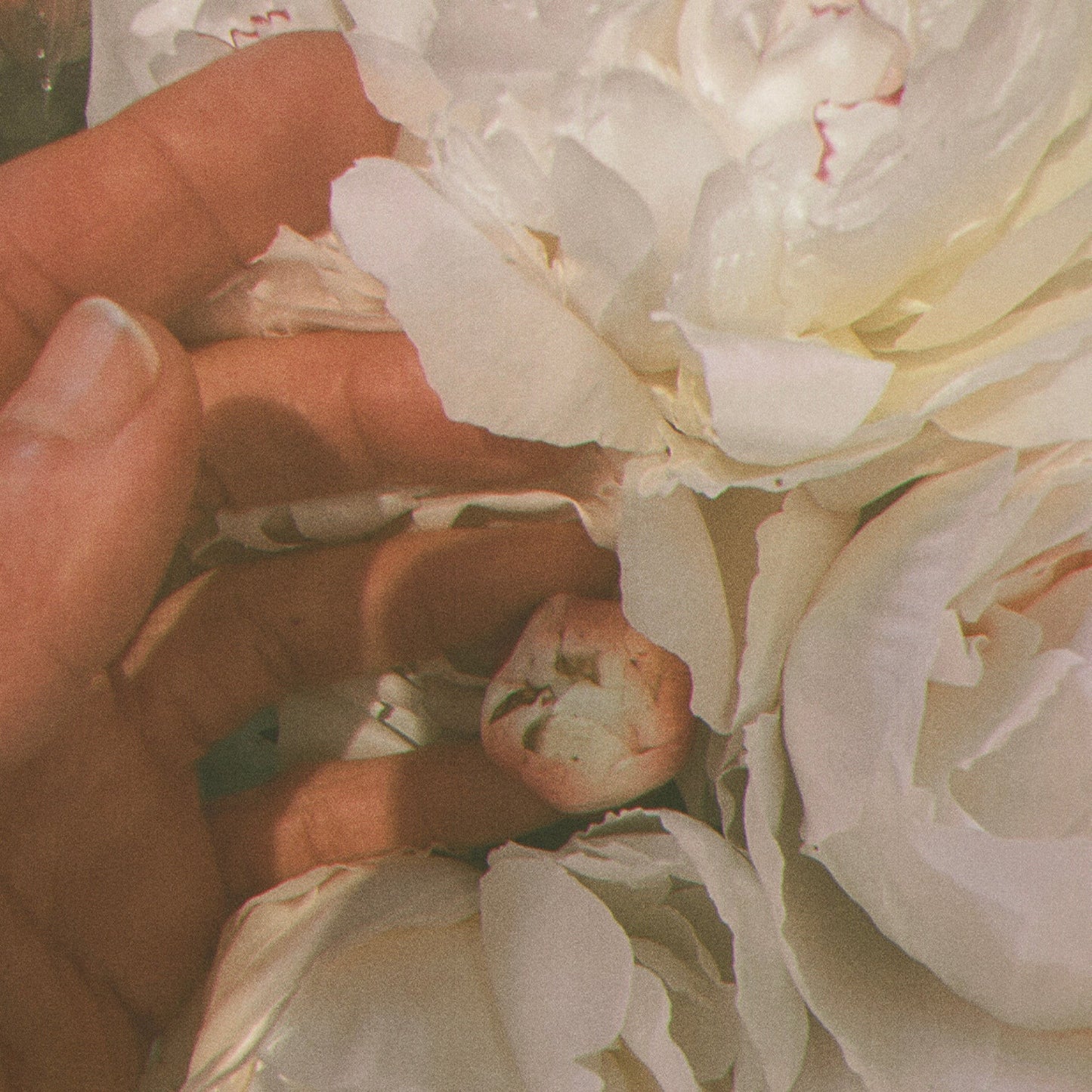 LEPAAR ROSE GOLD GLOW BALM / Energising Face Infusion