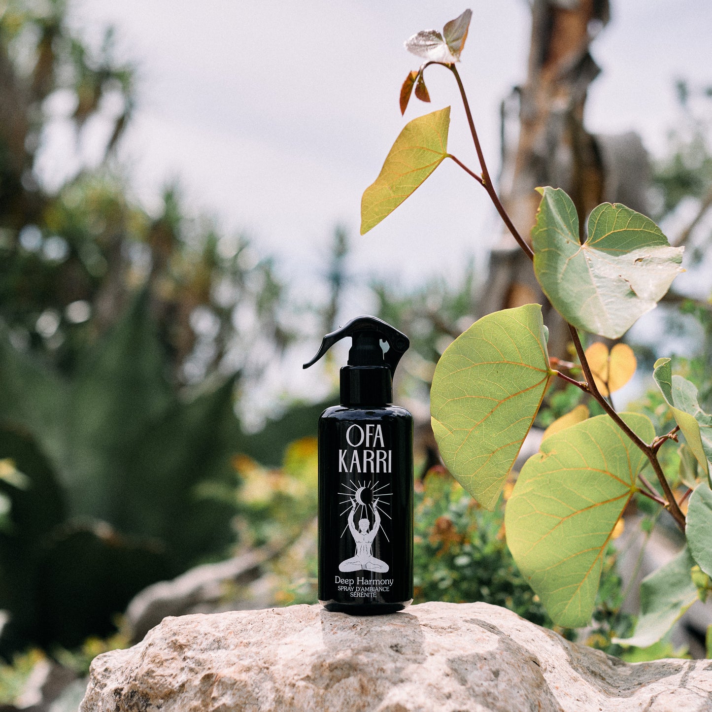 OFA KARRI Deep Harmony