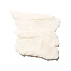 100% PURE Burdock & Neem Healthy Scalp Conditioner 