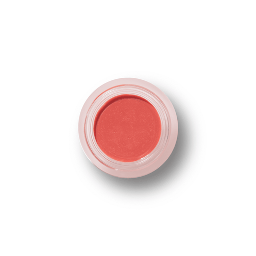 100% PURE Fruit Pigmented Lip & Cheek Tint shimmery cocoa berry