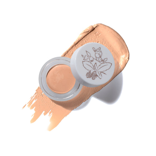 100% PURE Fruit Pigmented Long Last Concealer with Super Fruits Créme