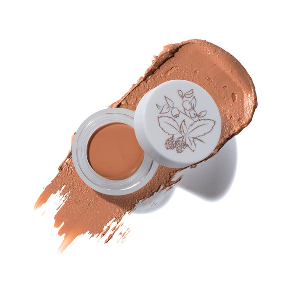 100% PURE Fruit Pigmented Long Last Concealer with Super Fruits toffee