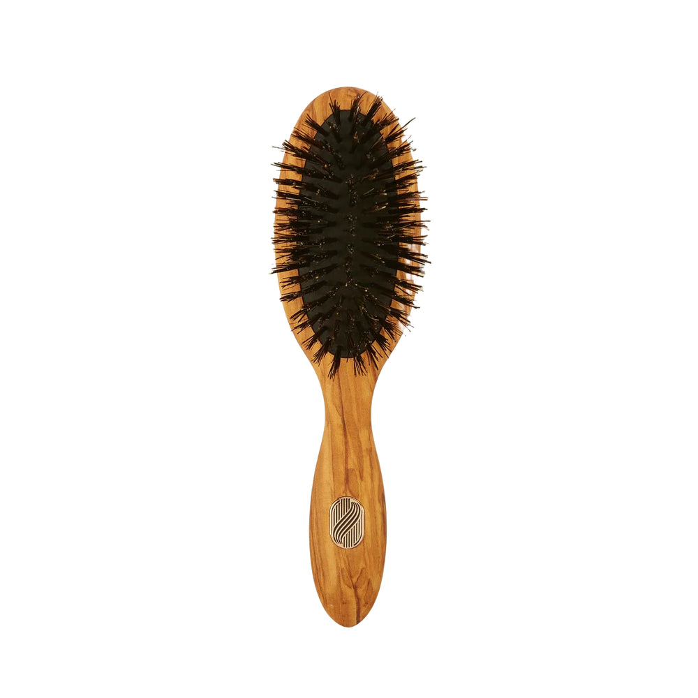 ALTESSE STUDIO Care & Shine Hairbrush Petite Fine to Medium Hair