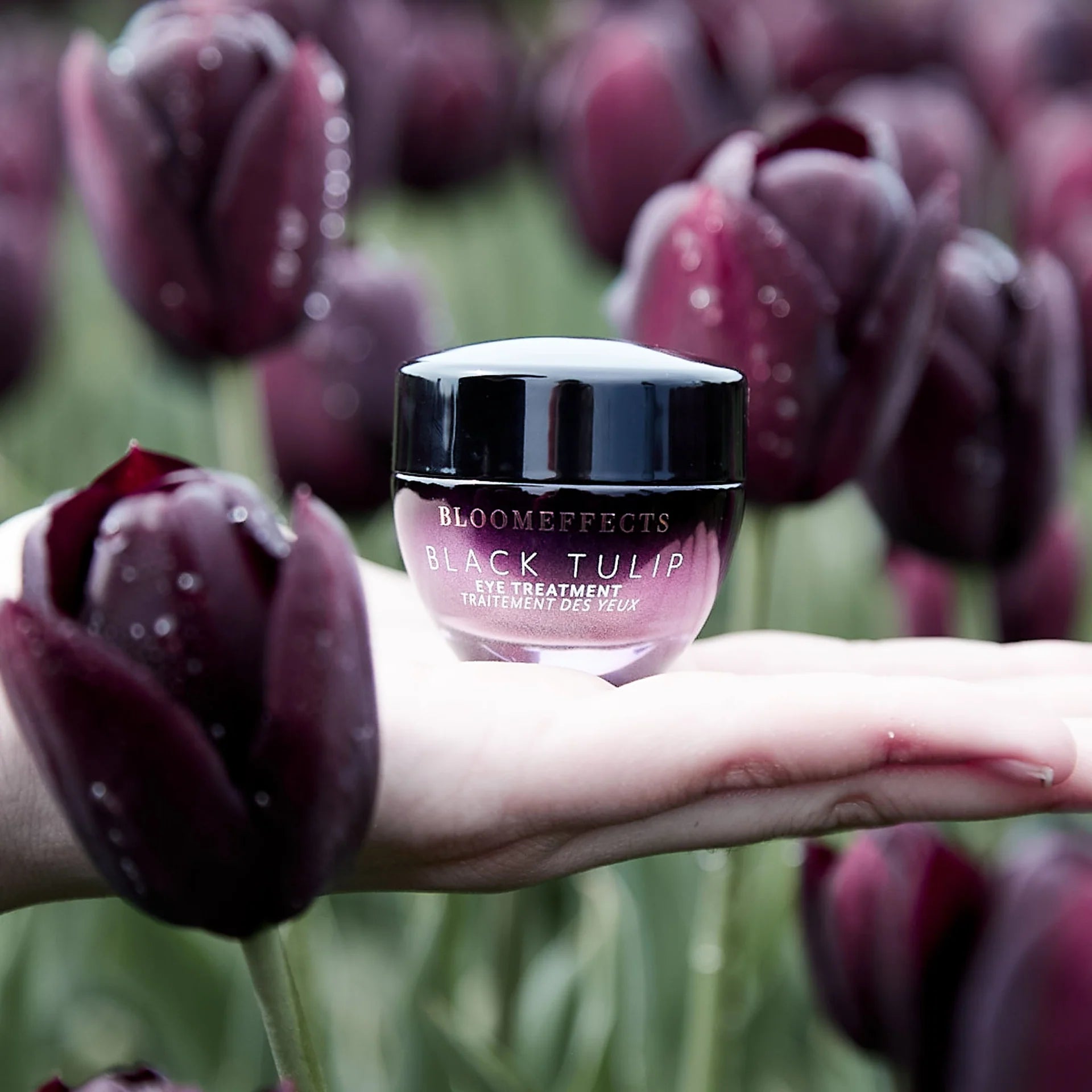 Jar of Bloomeffects Black Tulip Eye Gel held against a background of purple tulips.