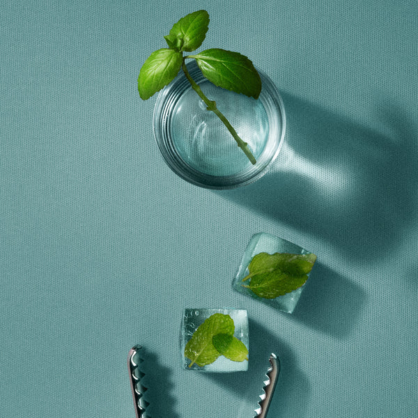 Clear glass with mint leaves on a teal background