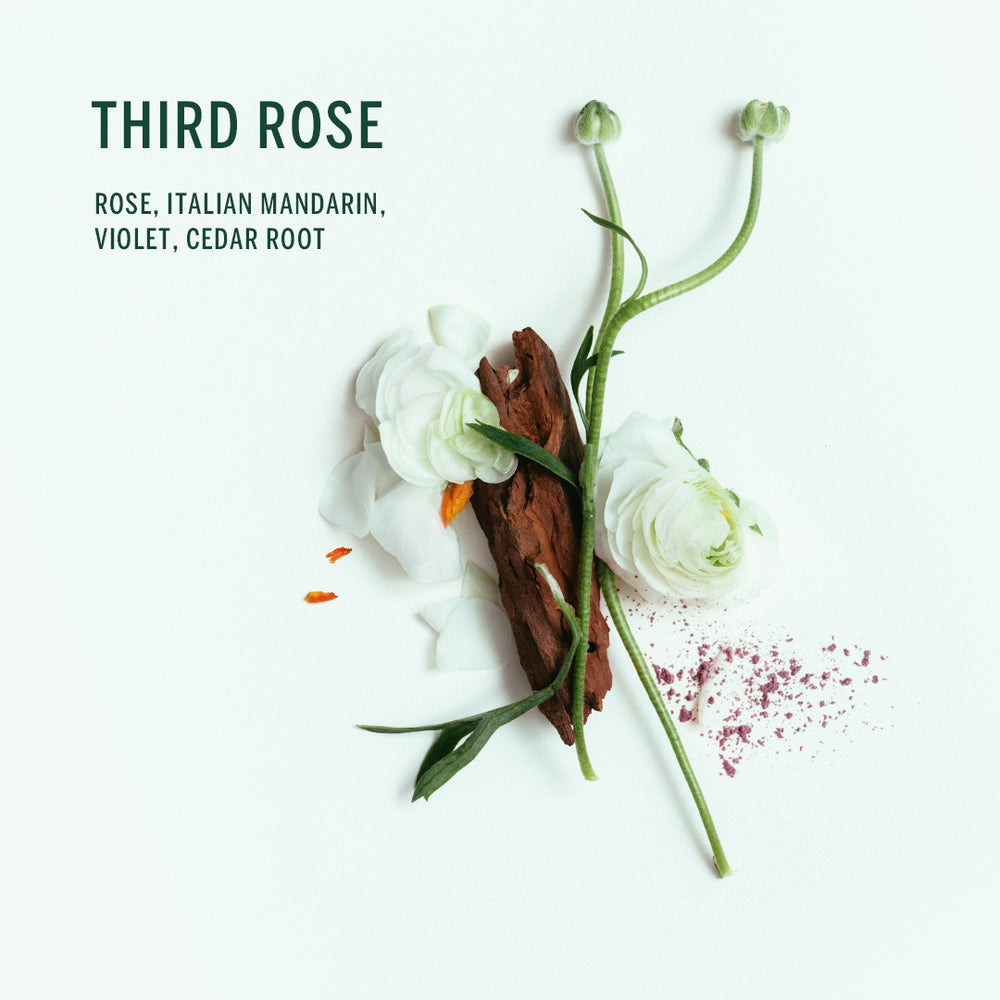 CORPUS Third Rose Natural Body Wash