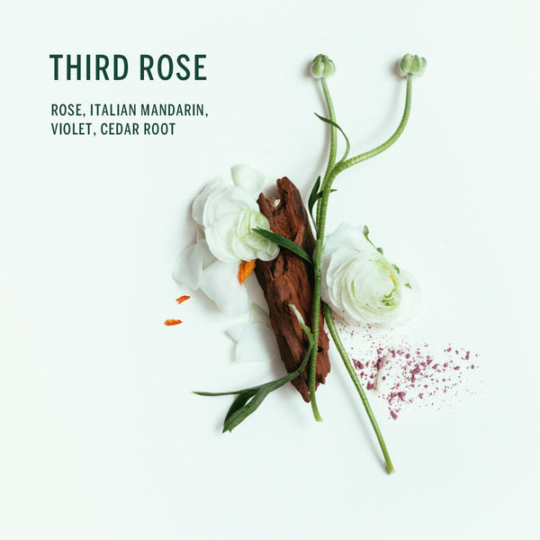 CORPUS - Bagnoschiuma naturale alla terza rosa