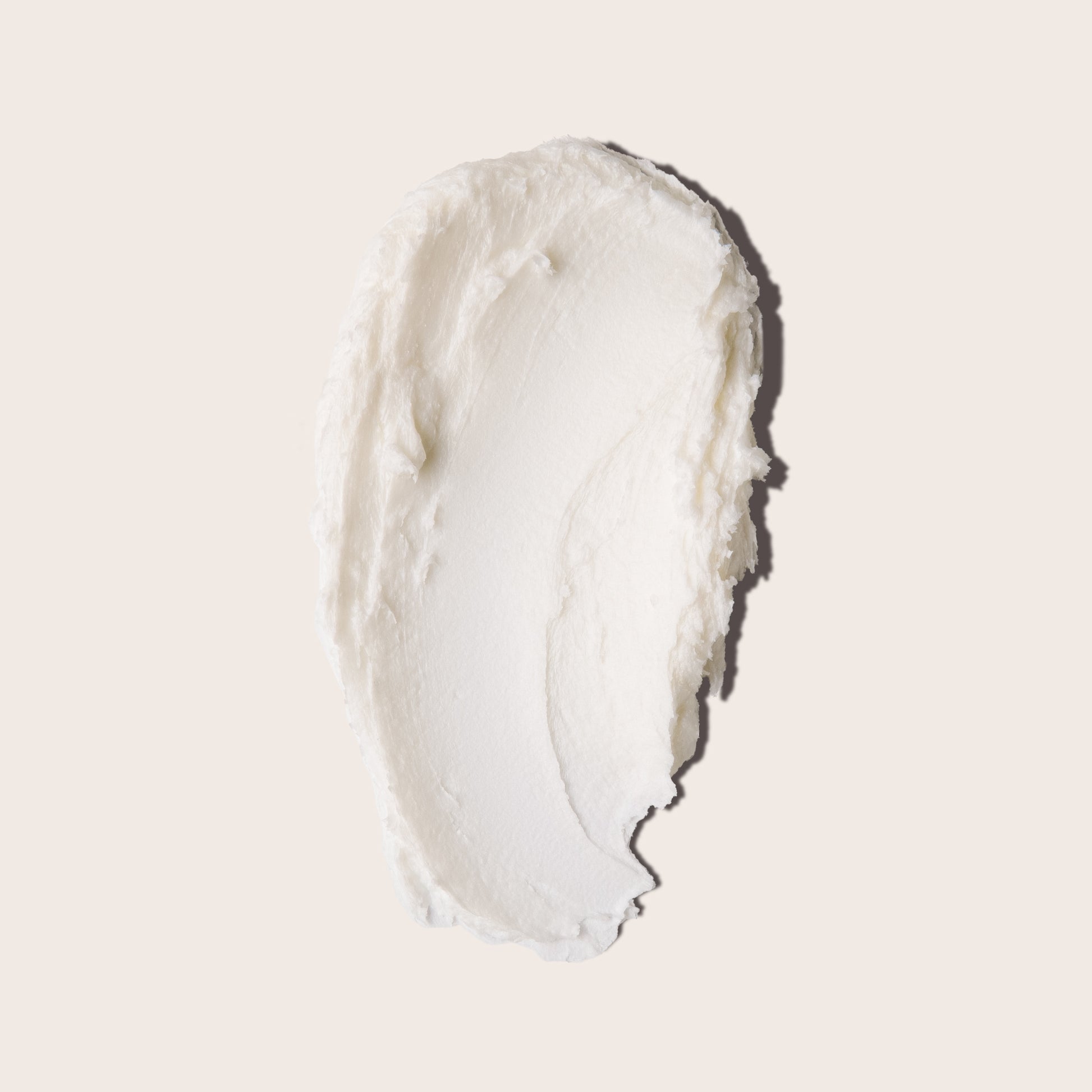 EVERIST The Shampoo Concentrate