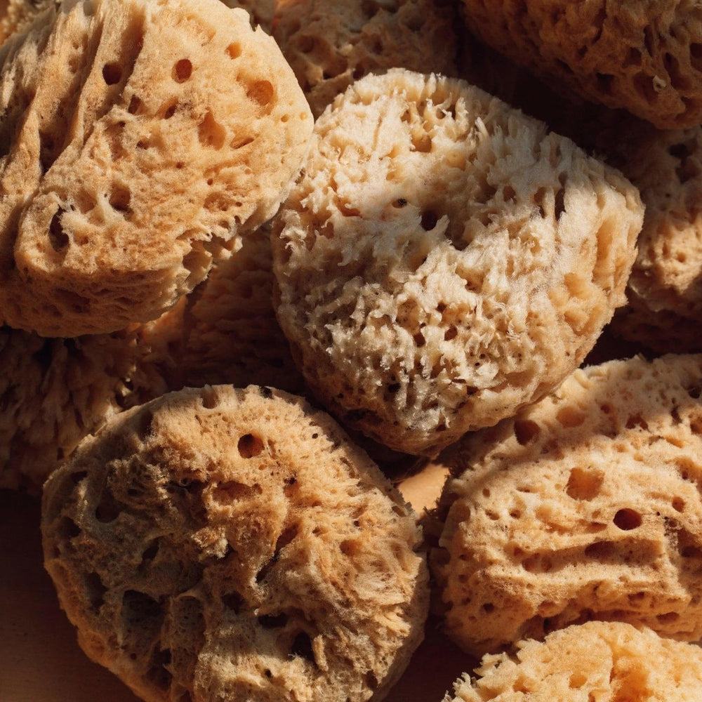 FIRSTHAND Natural Sea Wool Sponge