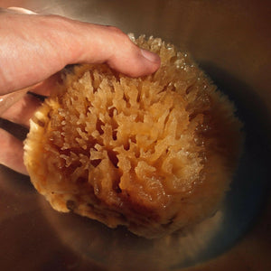 FIRSTHAND Natural Sea Wool Sponge