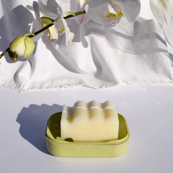 FLORA FLORA Biodegradable Soap Case kiwi