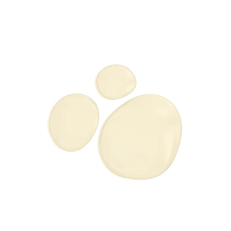 Graydon Skincare All Over Soap – a multipurpose vegan body wash with a fresh, energizing scent.