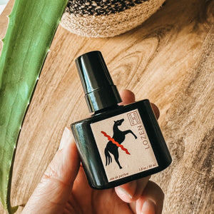 Hand holding a Lozen perfume bottle from H is for Love with a wooden surface and plant in the background