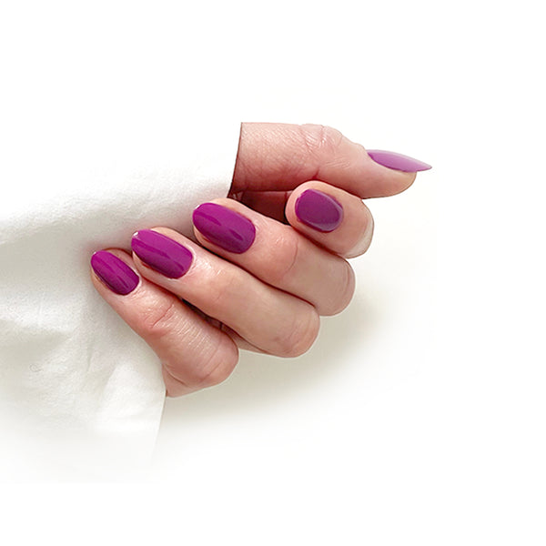 HELLO TOMATO Chinese Eggplant