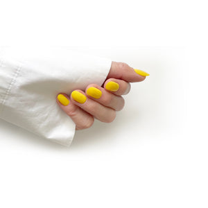 HELLO TOMATO Egg Yolk