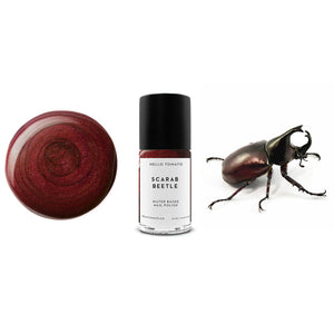 HELLO TOMATO Scarab Beetle