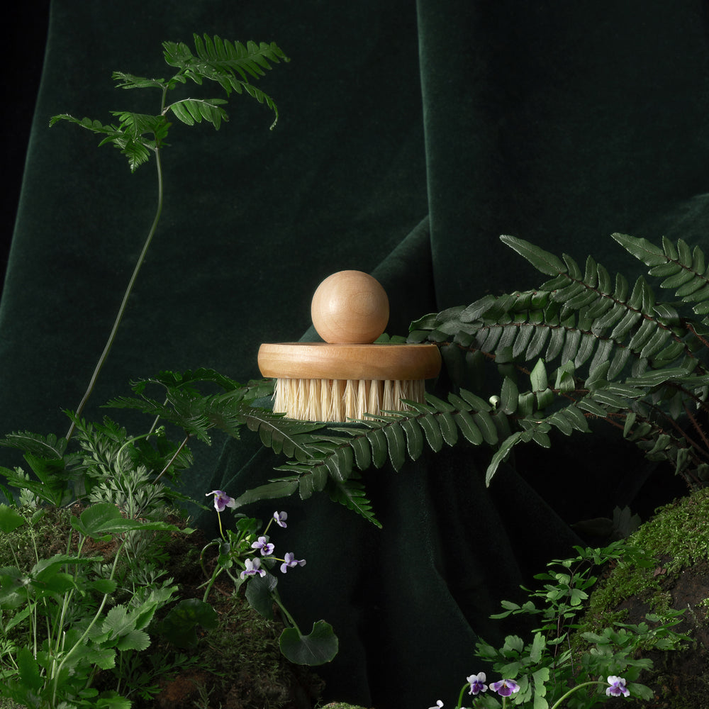 Wooden brush with bristles on a white background. INBLUEM Lotus Wood Body Brush