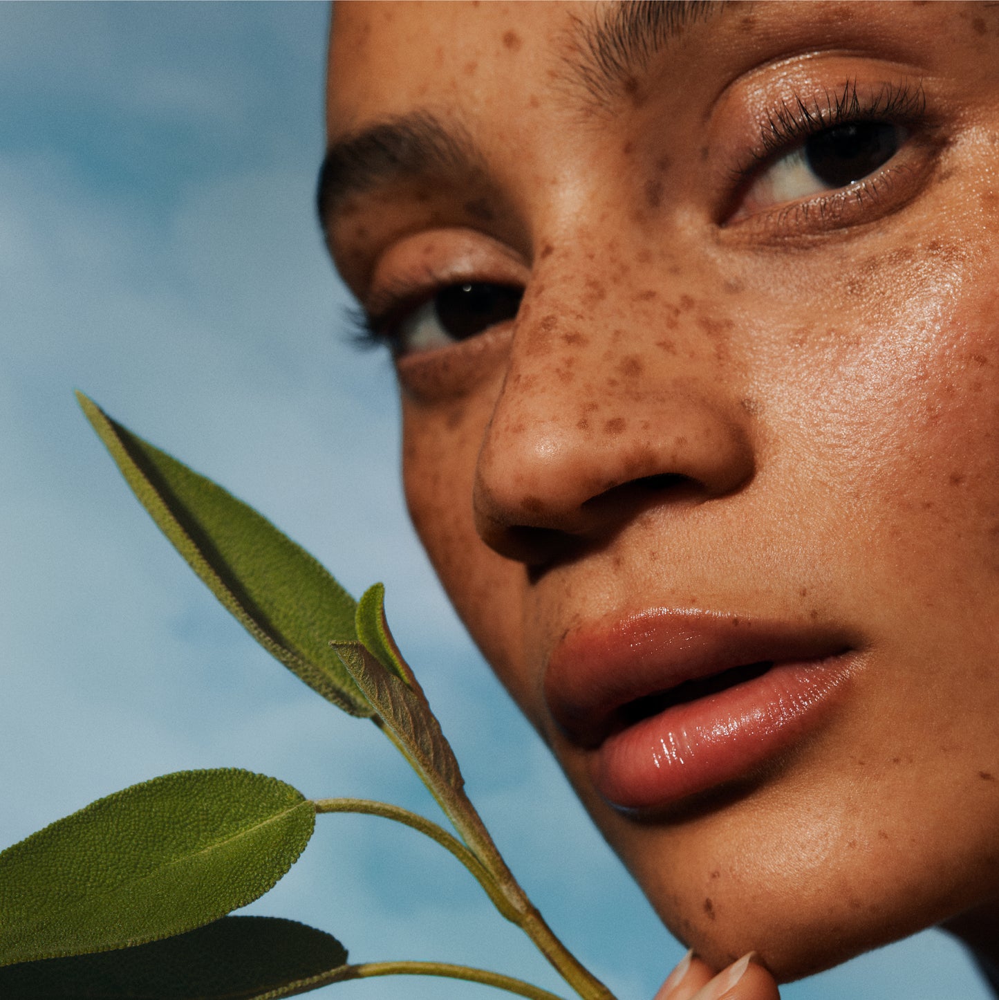 IRENE FORTE SKINCARE Sage Body Oil