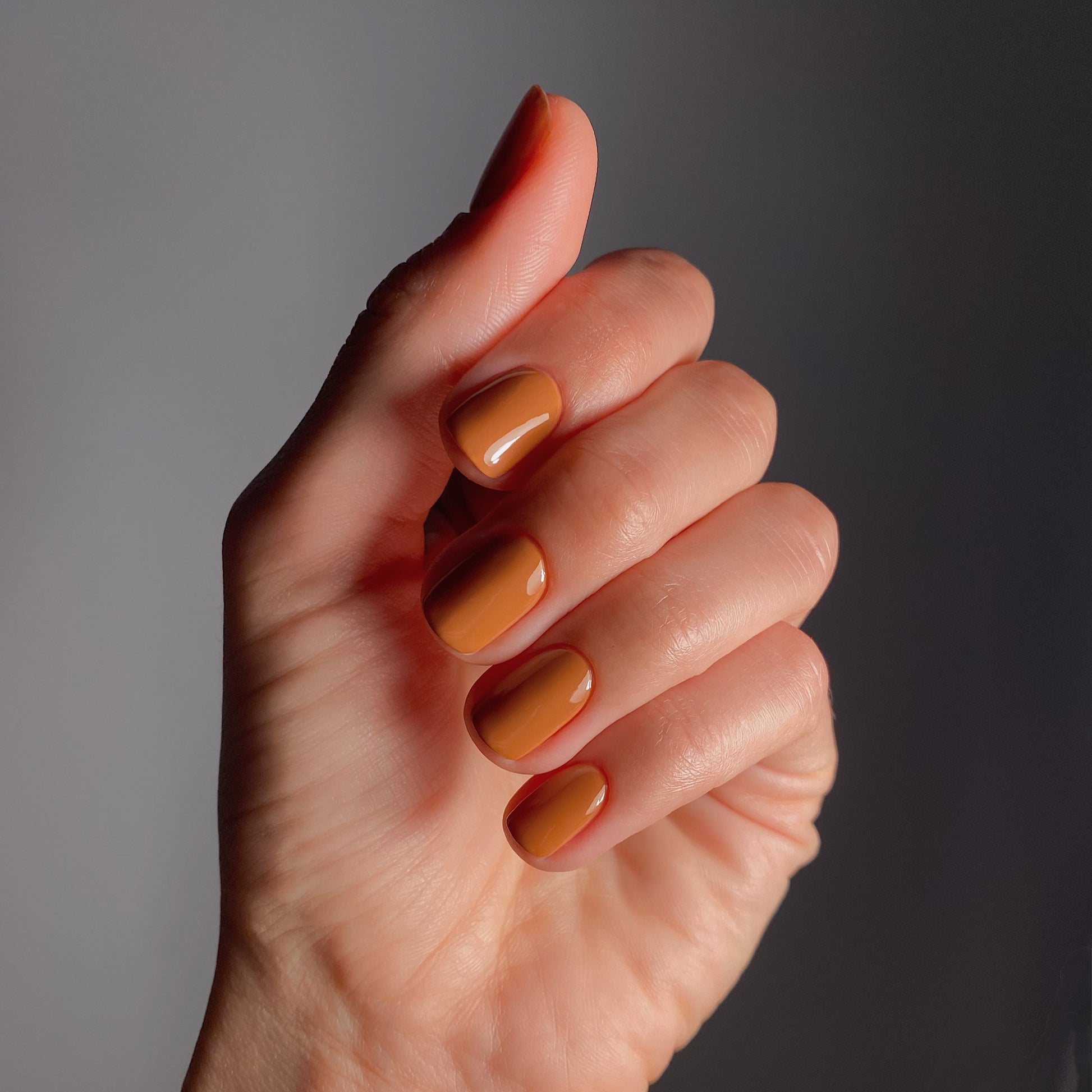 KAROLIN VAN LOON 11 Zinnia Orange