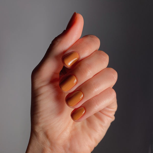 KAROLIN VAN LOON 11 Zinnia Orange