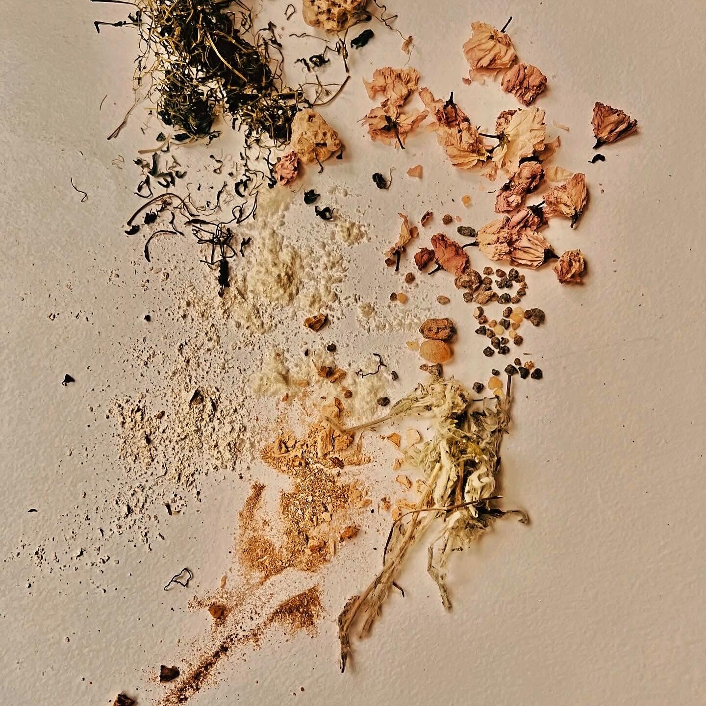 Dried flowers and herbs arranged on a textured surface