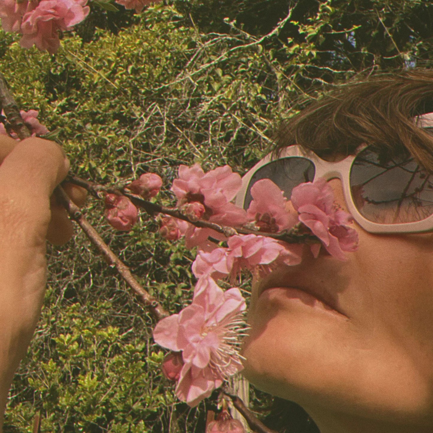 A woman wearing sunglasses smelling pink cherry blossoms