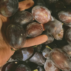 LEPAAR ROSE GOLD GLOW BALM / Energising Face Infusion