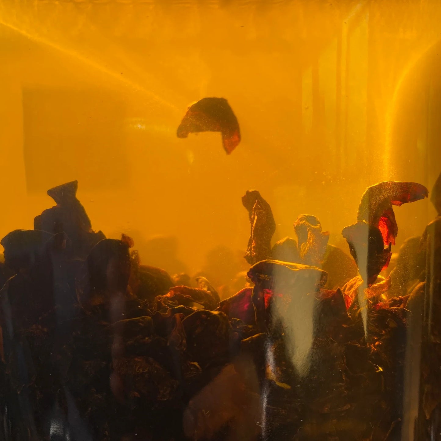 LEPAAR Smooth Operator / Unfolding Face, Eye + Brow Contour Serum / Zero Essential Oils ALWAYS SHOW