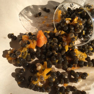 LEPAAR Velvet Sole Lip + Face Balm / Hydrating Lip + Face Protection