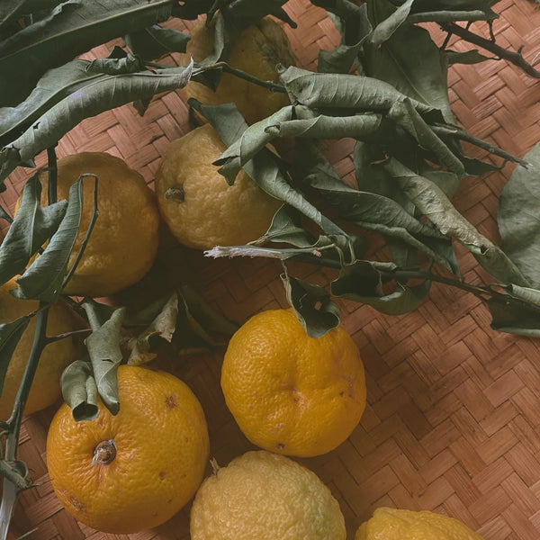 Yuzu citruses with green leaves on a woven surface. LEPAAR Yuzu Vitamin C Serum Complexion Saving Antioxidant Concentrate