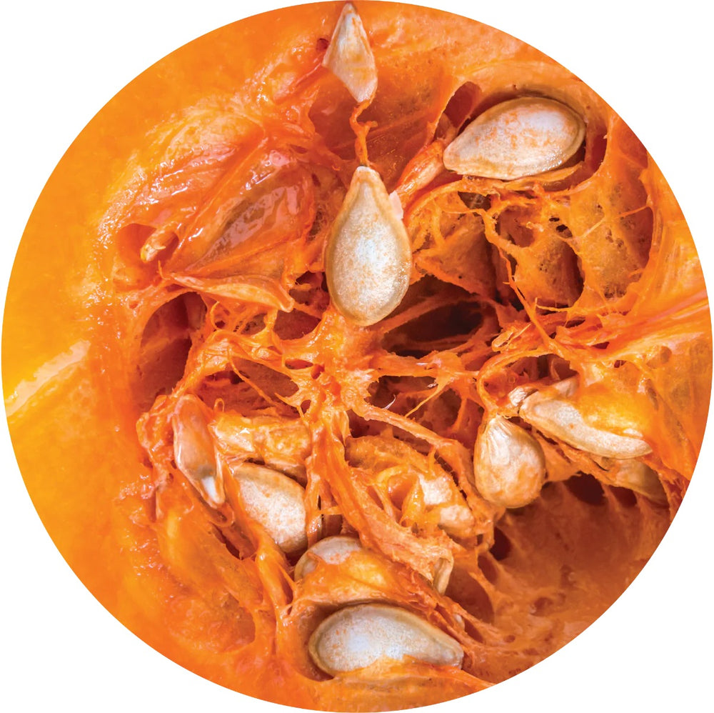  Living Libations Pumpkin Seed Carrier Oil – cold-pressed from organic pumpkin seeds, nourishing and hydrating for skin, hair, and scalp. ALWAYS SHOW