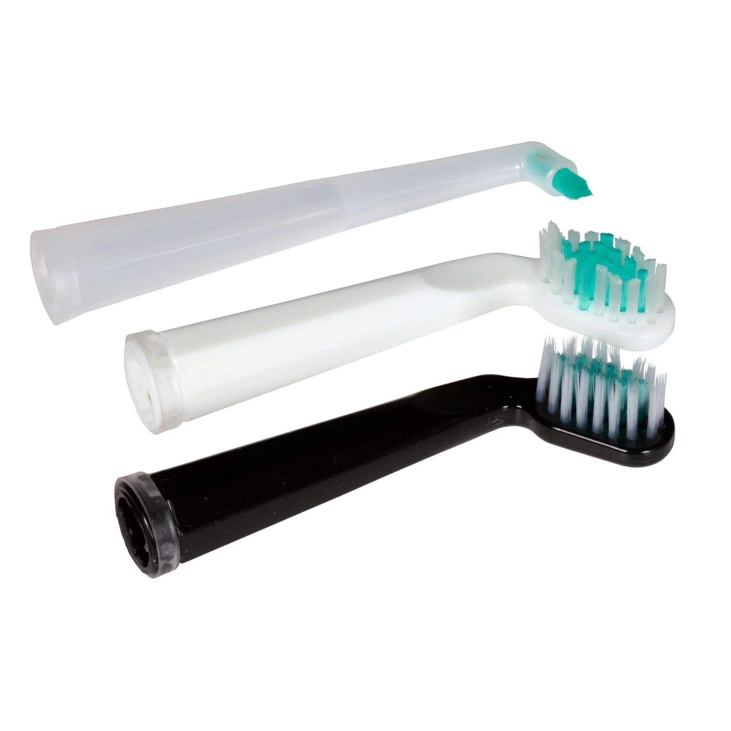 LIVING LIBATIONS Sonic Shine Toothbrush replacement heads