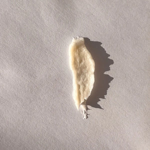 LUNA NECTAR Exploration 01 Ampoule Shampoo