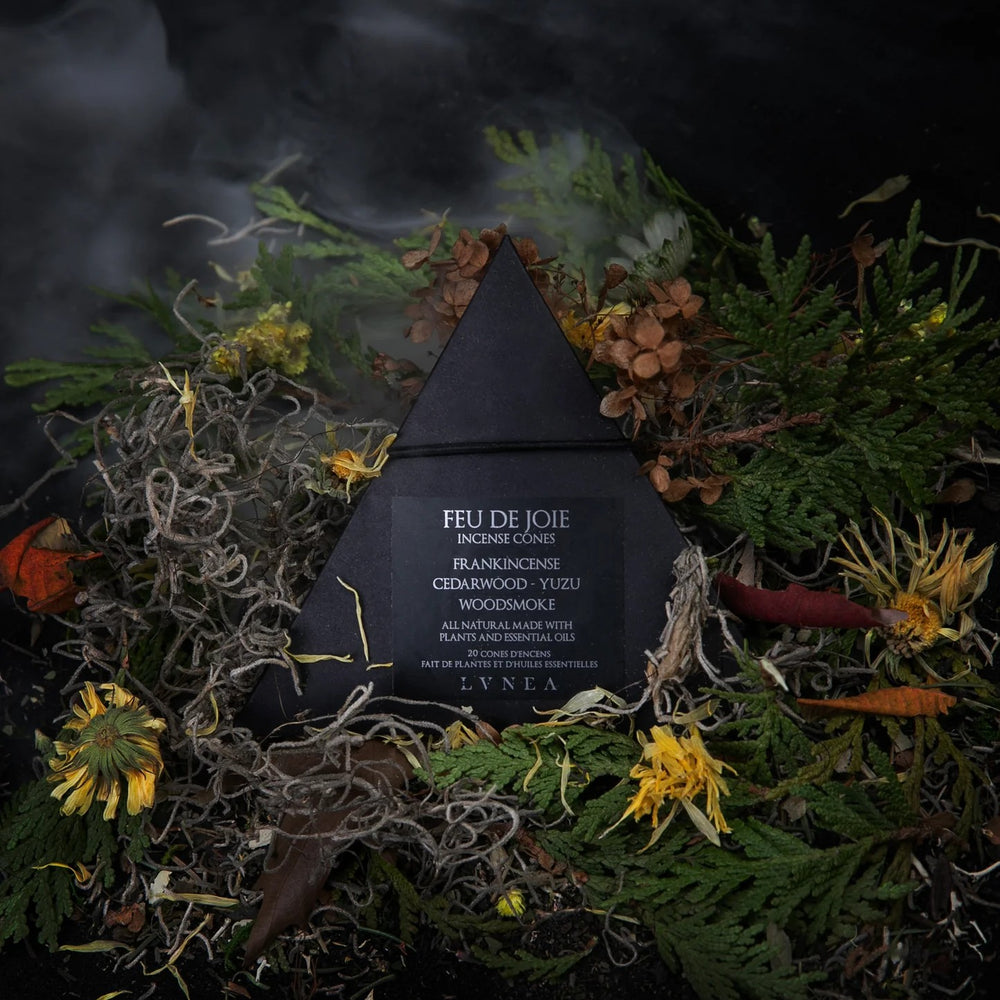 LVNEA FEU DE JOIE Incense Cones with a scent of yuzu, cedarwood, frankincense