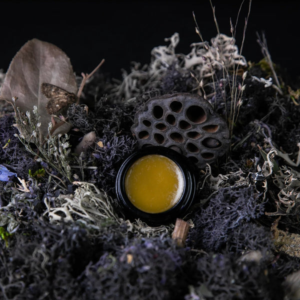LVNEA MOON MOSS Parfum Creme lavender, oakmoss, patchouli