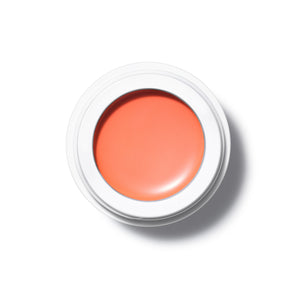 manasi 7 All Over Colour densuke