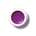 manasi 7 All Over Colour heliotrope