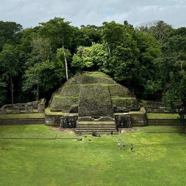 MONASTERY MADE Monastery x Coppola Hideaways Essence