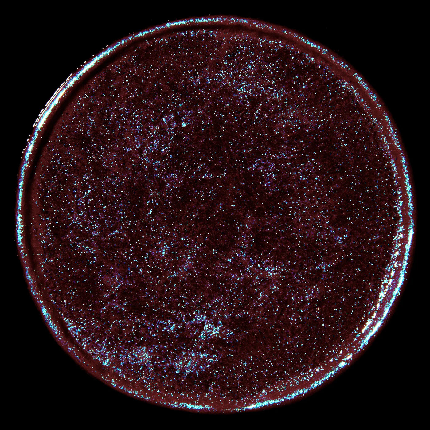 RITUEL DE FILLE Celestial Sphere Gelée Eye Gloss Cygnus