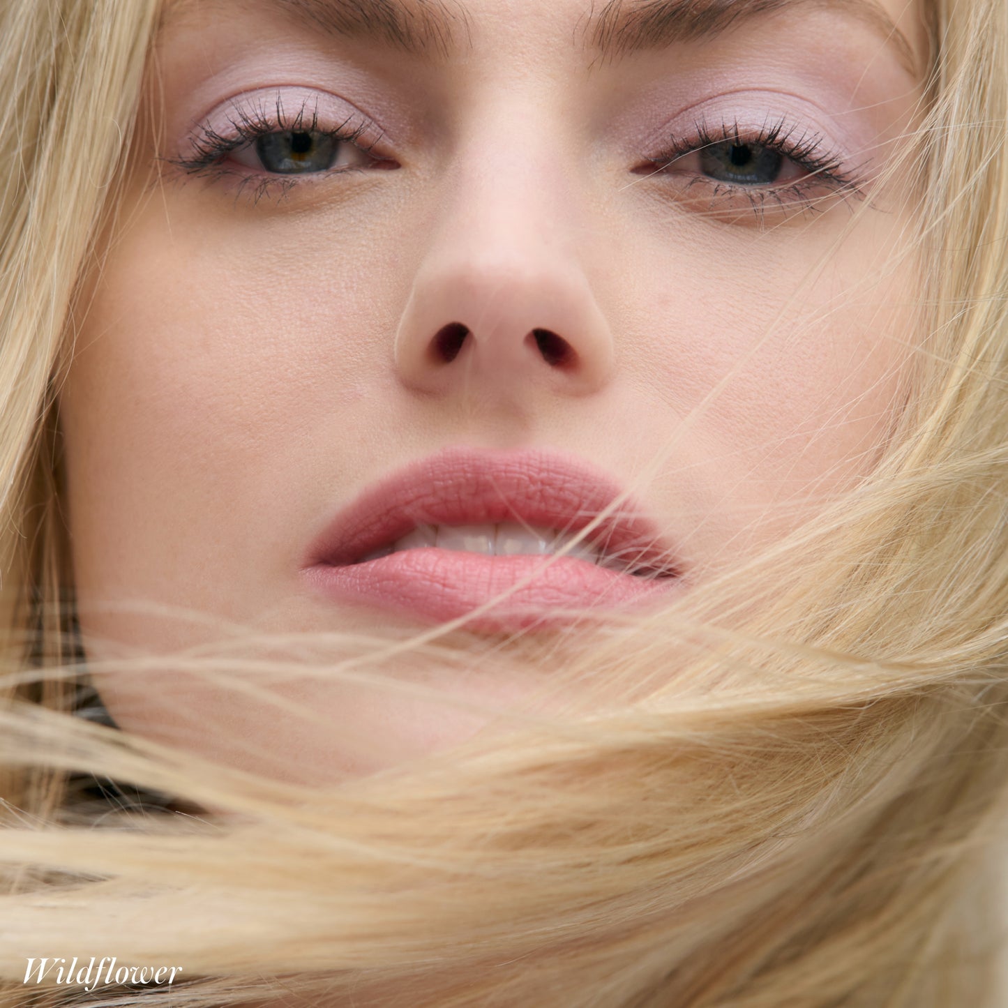 RMS BEAUTY - Cashmere Matte Eyelights