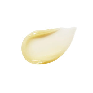 RMS BEAUTY Lipnights Overnight Lip Mask