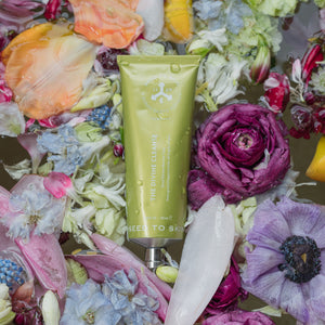 SEED TO SKIN TUSCANY  The Divine Cleanse ALWAYS SHOW