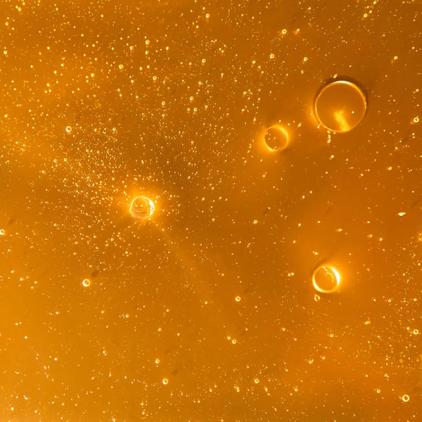 SEED TO SKIN TUSCANY The Revival Bundle