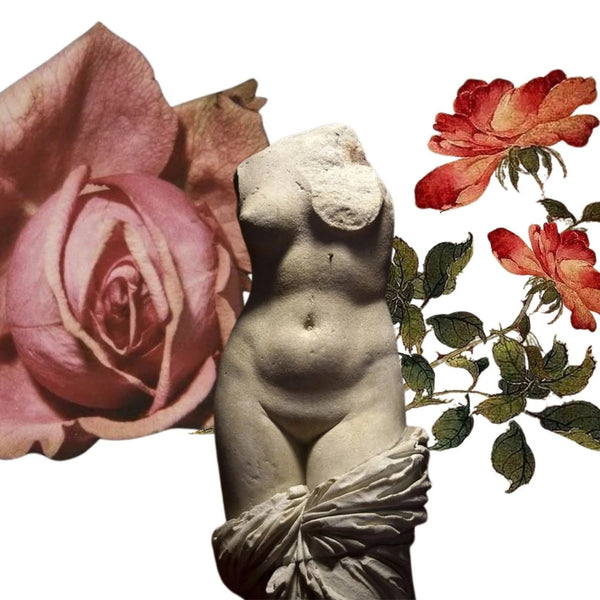 SHIVA ROSE Venus Rose Deodorant