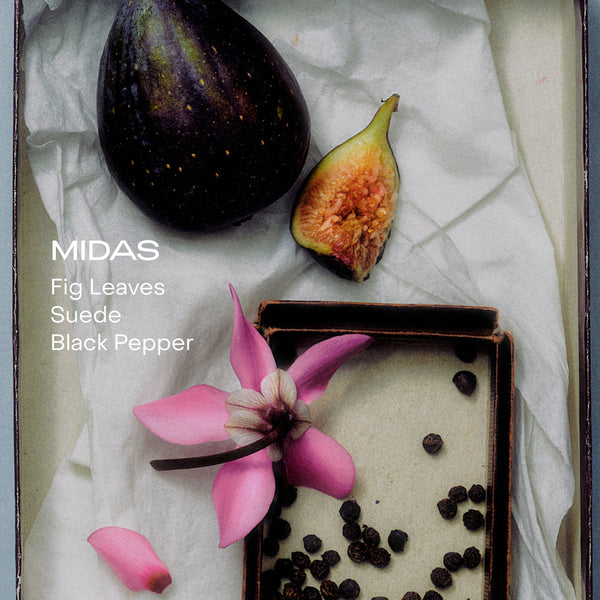Fig, pink flower, and black peppercorns on a textured surface with 'Midas' branding.