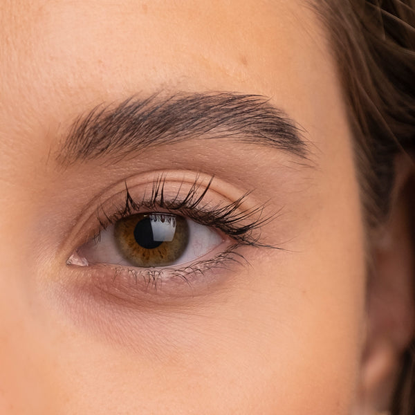 SWEED The Brow Serum