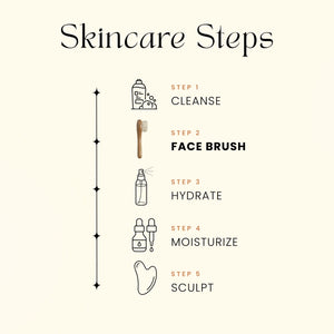 Diagram of skincare steps with icons and text on a white background